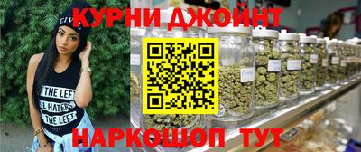 крисы Будённовск