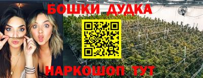 крисы Будённовск