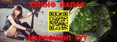 крисы Будённовск