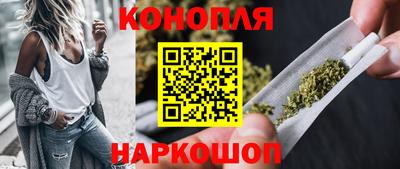 крисы Будённовск