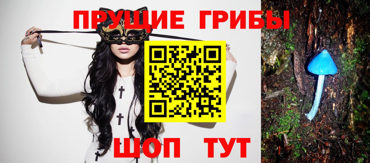 Псилоцибиновые грибы MAGIC MUSHROOMS Краснознаменск