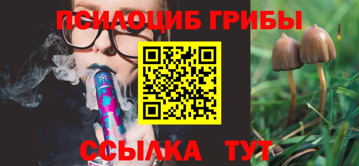Галлюциногенные грибы Psilocybine cubensis  Вход с VPN  Галлюциногенные грибы Psilocybine cubensis  Краснознаменск 